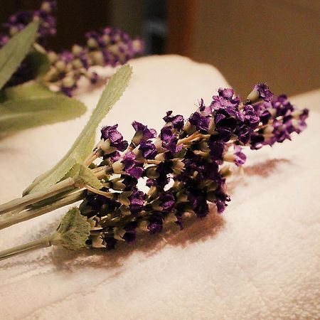 Hotel Martin เมจูโกเรีย ภายนอก รูปภาพ